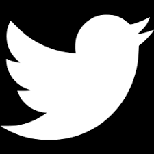 X (Twitter)